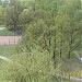 Остатки яблоневого сада старого посёлка Бирюлёво в городе Москва