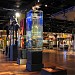 Melbourne Museum in City of Melbourne, Victoria city