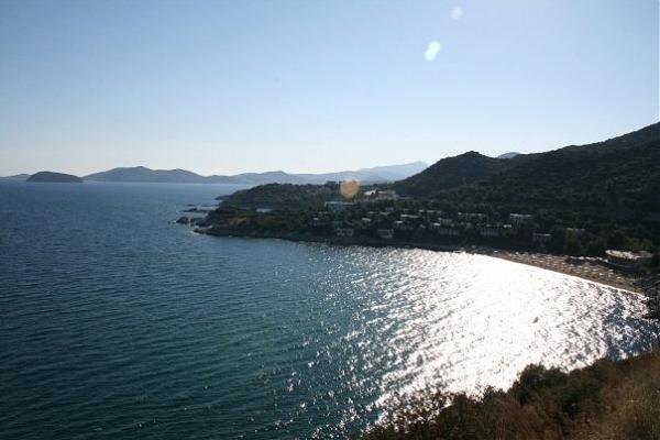 tosca beach hotel цены