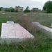 Cemetery Owl in Tripoli city