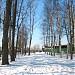 Муринский парк в городе Мурино