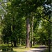 Park in Buftea city