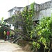 Manju Enclave in Patna city