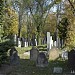 New Jewish Cemetery Prague Olsany in Prague city