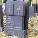 New Jewish Cemetery Prague Olsany in Prague city