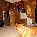 The Haunted Basement in Des Moines, Iowa city