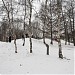 Группа холмов в городе Москва