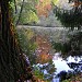 Alcsút Arboretum Nature Reserve Area