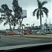 Arteli Corona en la ciudad de Zona Metropolitana de Tampico