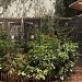 Bird Sanctuary in Los Angeles, California city