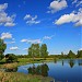 Дачный пруд в городе Ашукино