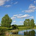 Дачный пруд в городе Ашукино