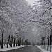Mažeikių senamiesčio parkas yra Mažeikiai mieste