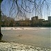 Лебединое озеро в городе Ровно