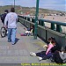 Pedestrian bridge (en) en la ciudad de Tijuana