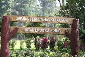 Hutan Lipur Kanching
