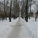 Аллея в городе Соликамск