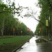Аллея Перовского парка в городе Москва