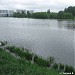 Нижний Джамгаровский пруд