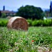 Tuscany