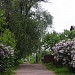 Кузовлёво в городе Дорохово
