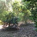 Orto Botanico in Cagliari city