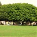 Veterans Memorial Park in Los Angeles, California city