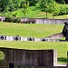 Мемориал павших за свободу Литвы в городе Вильнюс