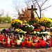 Grób księdza prałata Zygmunta Trybowskiego in Bydgoszcz city