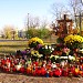 Grób księdza prałata Zygmunta Trybowskiego in Bydgoszcz city