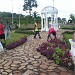 Rond point Mont Fébé dans la ville de Yaoundé