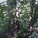 Развалины в городе Воскресенск