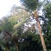 P.Palaniappan[House] in Melnilaippatti city