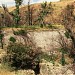 Lower Dam in Los Angeles, California city