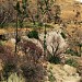 Lower Dam in Los Angeles, California city