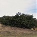 Lone Ranger Rock in Los Angeles, California city