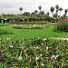 Jardín Botánico