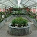 Jardín Botánico