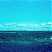 Здесь был вагон-городок в городе Новый Уренгой