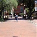Zona T (es) in Bogota city