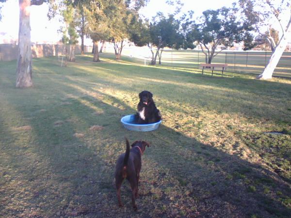 Rancho Cucamonga Dog Park Rancho Cucamonga California