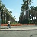 Parc de la Ligue Arabe dans la ville de Casablanca