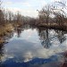 Устье пролива Небышевки (ru) in Kyiv city