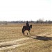 Парк «Муромец» в городе Киев