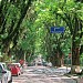 Rua Gonçalo de Carvalho na Porto Alegre city