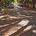 Rua Gonçalo de Carvalho na Porto Alegre city