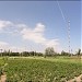 Vegetable gardens in Brovary city