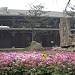 望江楼公園 在 成都市 城市 