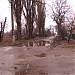 Руины бараков в городе Каменское