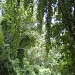 Northwest Branch Stream Valley Park